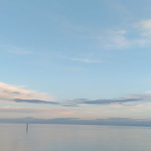 Meet your Posher, Cassie